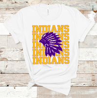 Indians Mascot Gold and Purple Adult Size Direct to Film Transfer - 10 to 14 Day Ship Time