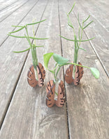 Monstera Leaf Propagation Tube Holder Plant Stand - Set of 3
