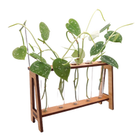 Cherry Wood Propagation Tube Holder Plant Stand